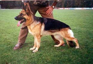 Maxi von Batu Maxi von Batu