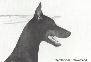 Yembi vom Frankenland Yembi vom Frankenland
