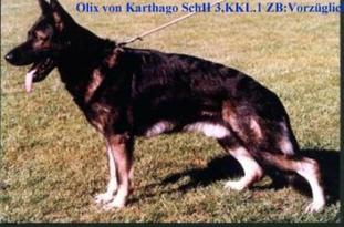 Olix von Karthago Olix von Karthago