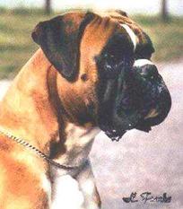 John von Maximilian John von Maximilian