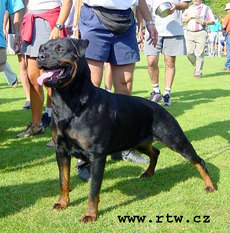 Alice vom Donnerwald Alice vom Donnerwald