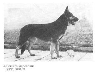 Bertie vom Aspenhaus Bertie vom Aspenhaus