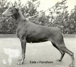 Edda van Ferrolheim Edda van Ferrolheim