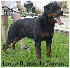 Janko Buoso da Dovara Janko Buoso da Dovara