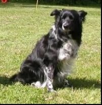 Annabelle von der Neckarburg Annabelle von der Neckarburg