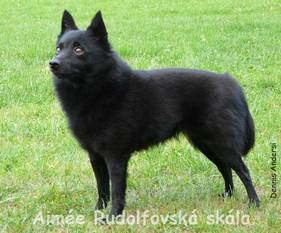 Aimee Rudolfovska skala Aimee Rudolfovska skala