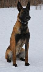 Ice Jaws Virta Ice Jaws Virta