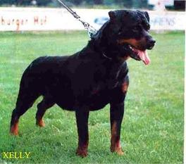 Xelly von Burgthann Xelly von Burgthann