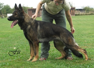 Quinn od Policie CS Quinn od Policie CS
