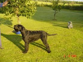 Magic von Lexow Magic von Lexow