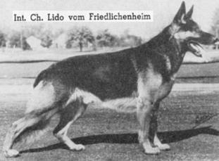 Lido vom Friedlichenheim Lido vom Friedlichenheim