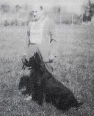 Saphir du Grand Maurian Saphir du Grand Maurian