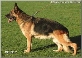 Jolanda von der Wienerau Jolanda von der Wienerau