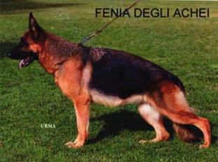Fenia I degli Achei Fenia I degli Achei