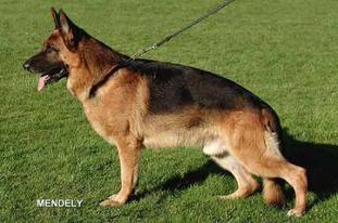 Wallace aus Agrigento Wallace aus Agrigento