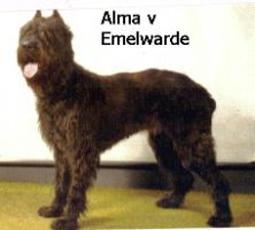 Alma van Emelwarde Alma van Emelwarde