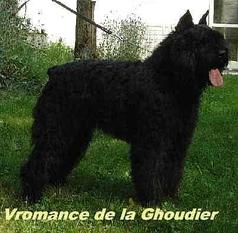 Vromance de la Ghoudier Vromance de la Ghoudier