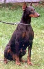Odett von der Schwellenburg Odett von der Schwellenburg