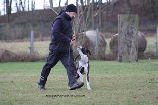 Boxy vom Löwenzahn Boxy vom Löwenzahn