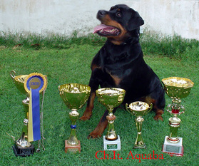 Aquaba(LOI 0139192) Aquaba(LOI 0139192)