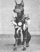 Asko von der Wolzenburg Asko von der Wolzenburg