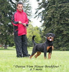 Danya vom Hause Bouhfour Danya vom Hause Bouhfour