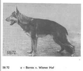 Barras vom Wiener-Hof Barras vom Wiener-Hof