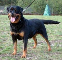 Grace von der Reuthwiese Grace von der Reuthwiese