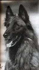 End du Musher End du Musher