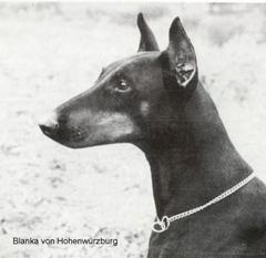 Blanka von Hohenwürzburg Blanka von Hohenwürzburg