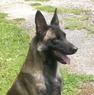 Prena LOF 43722/5324 (Gouveia)