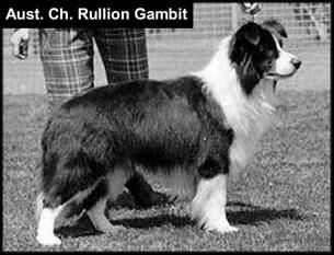 Rullion Gambit Rullion Gambit