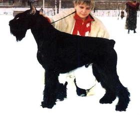 Ugo von der Frankenfurt Ugo von der Frankenfurt