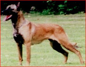 Gina von den bösen Buben Gina von den bösen Buben