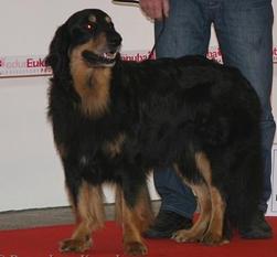 Graf vom Hause Luka Graf vom Hause Luka