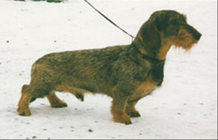 Freckle-Face Walk away with Freckle-Face Walk away with