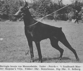 Hertogin Isasja van Manensheide Hertogin Isasja van Manensheide