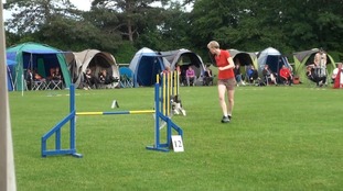 Agility Joy Bonfire Agility Joy Bonfire