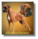 Uranka von Romania