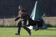 Bild von Estrelle vom Pfarrhof