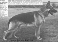 Lauser von Adeloga