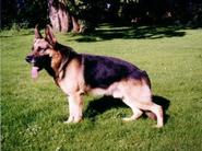 Dag von der Röderburg