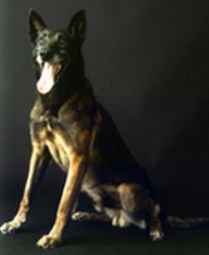Leopol NVBK 21758 Leopol NVBK 21758