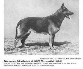 Arno von der Schwabenheimat Arno von der Schwabenheimat