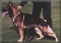 Xam von der Fasanerie