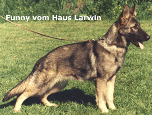 Funny vom Haus Larwin Funny vom Haus Larwin