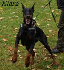 Kiara von Hochstede Kiara von Hochstede