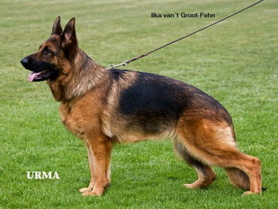 Ilka van't Groot-Fehn Ilka van't Groot-Fehn