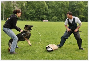 Okley vom Laudachsee Okley vom Laudachsee