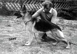 Ola vom Hasenborn Ola vom Hasenborn